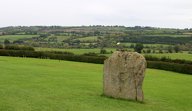 A closer view of one of the stones which surround Newgrange. Photograph ©2014 by Brian Cohen.