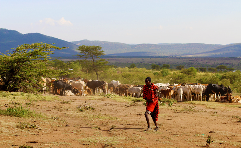 Maasai People in Kenya