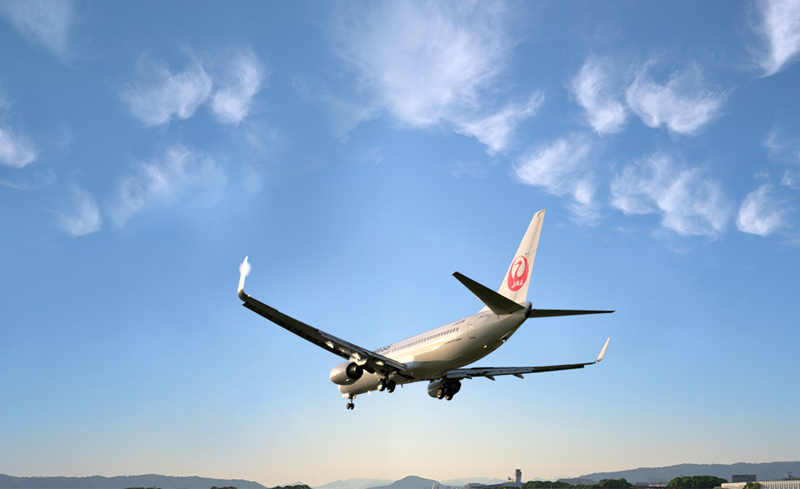 Japan Airlines Reservations 10