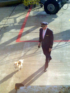 Simbah goes for a walk on the tarmac at Chicago O’Hare International Airport. Photograph courtesy of Denny Flanagan.