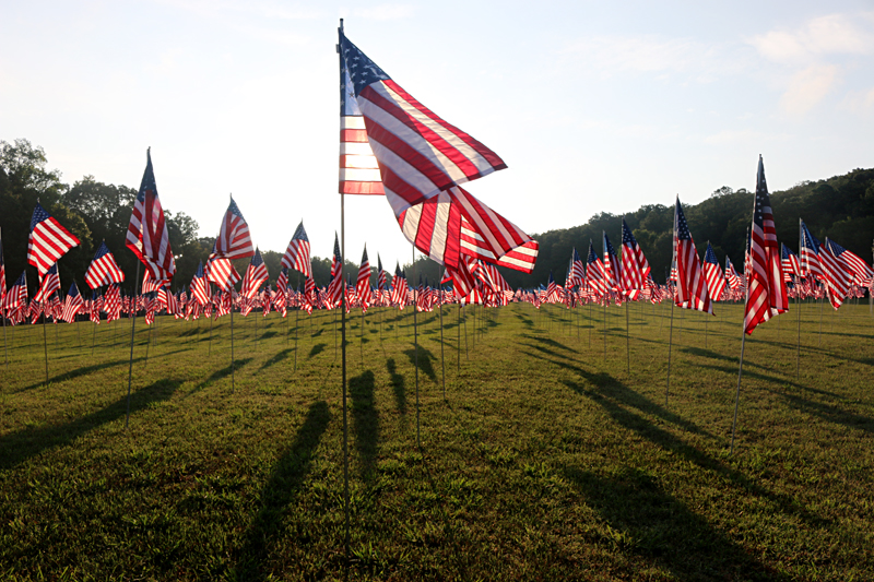 Flags Kennesaw Mountain National Battlefield Park