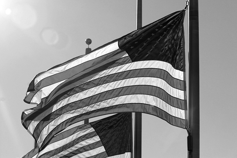 Flag of the United States of America in black and white