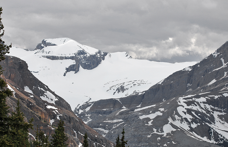 Peyto Glacier and Bow Summit