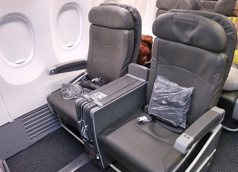 American Airlines domestic first class