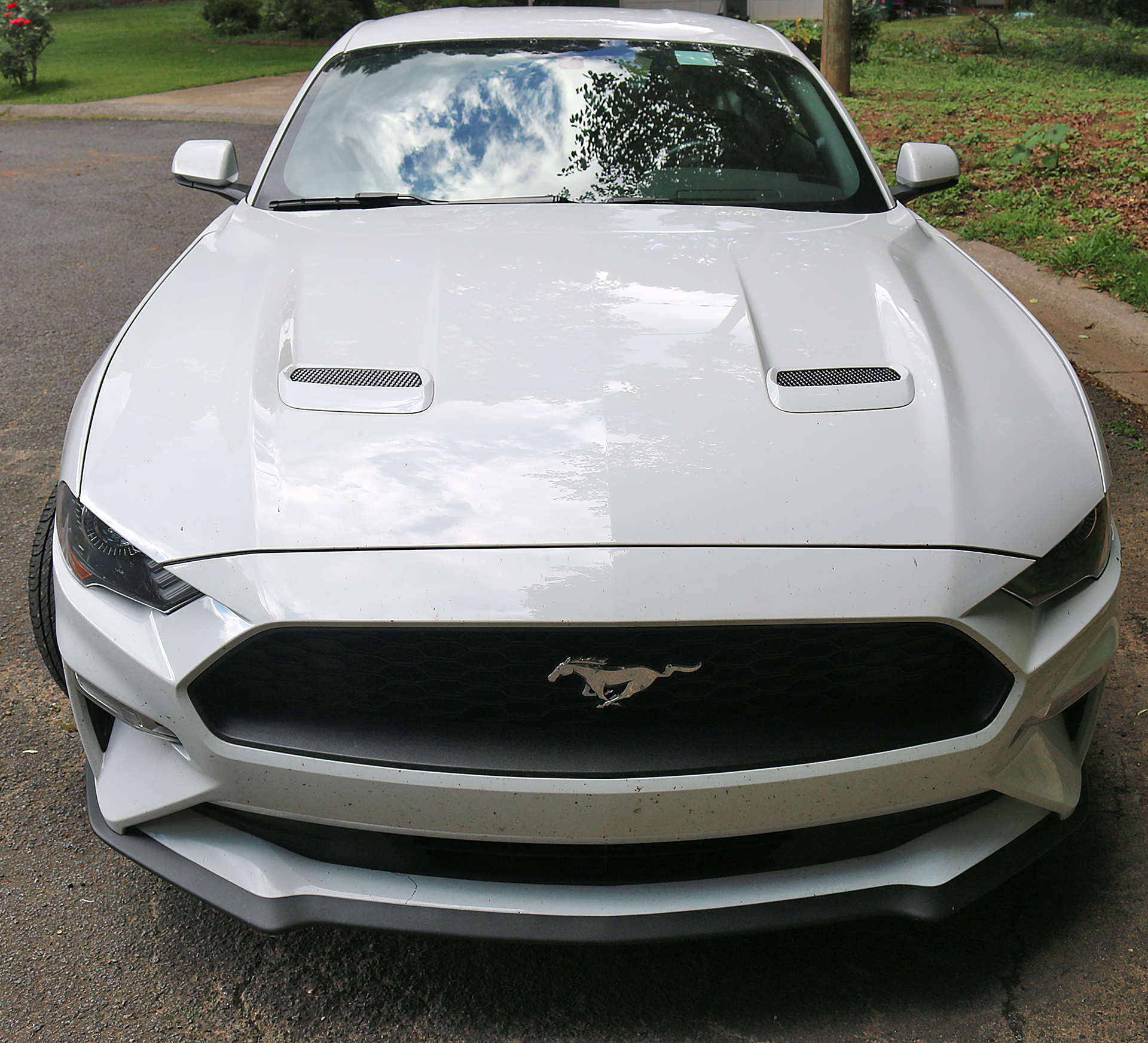 2021 Ford Mustang 2.3L EcoBoost