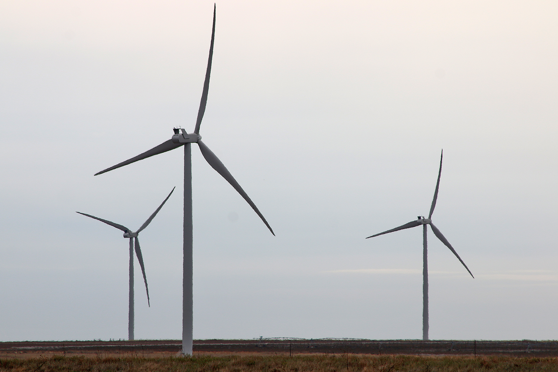Wind turbines in Texas